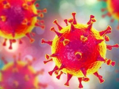 Warm Reminders on the Safety and Prevention of Corona Virus Disease 2019