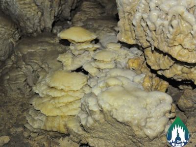 14-1-51-Mushroom shape stalagmite