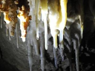 17-Features of soda straws in Zhijindong Cave