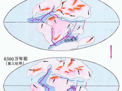 Continental drift theory